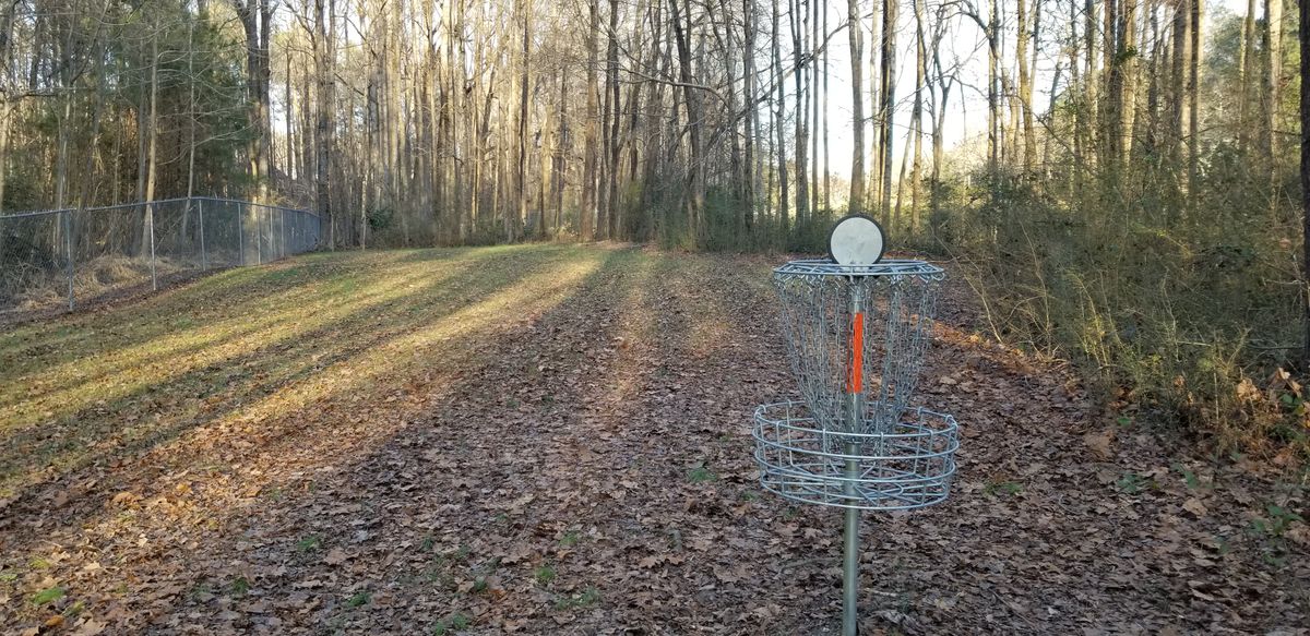 Hole 5 Green