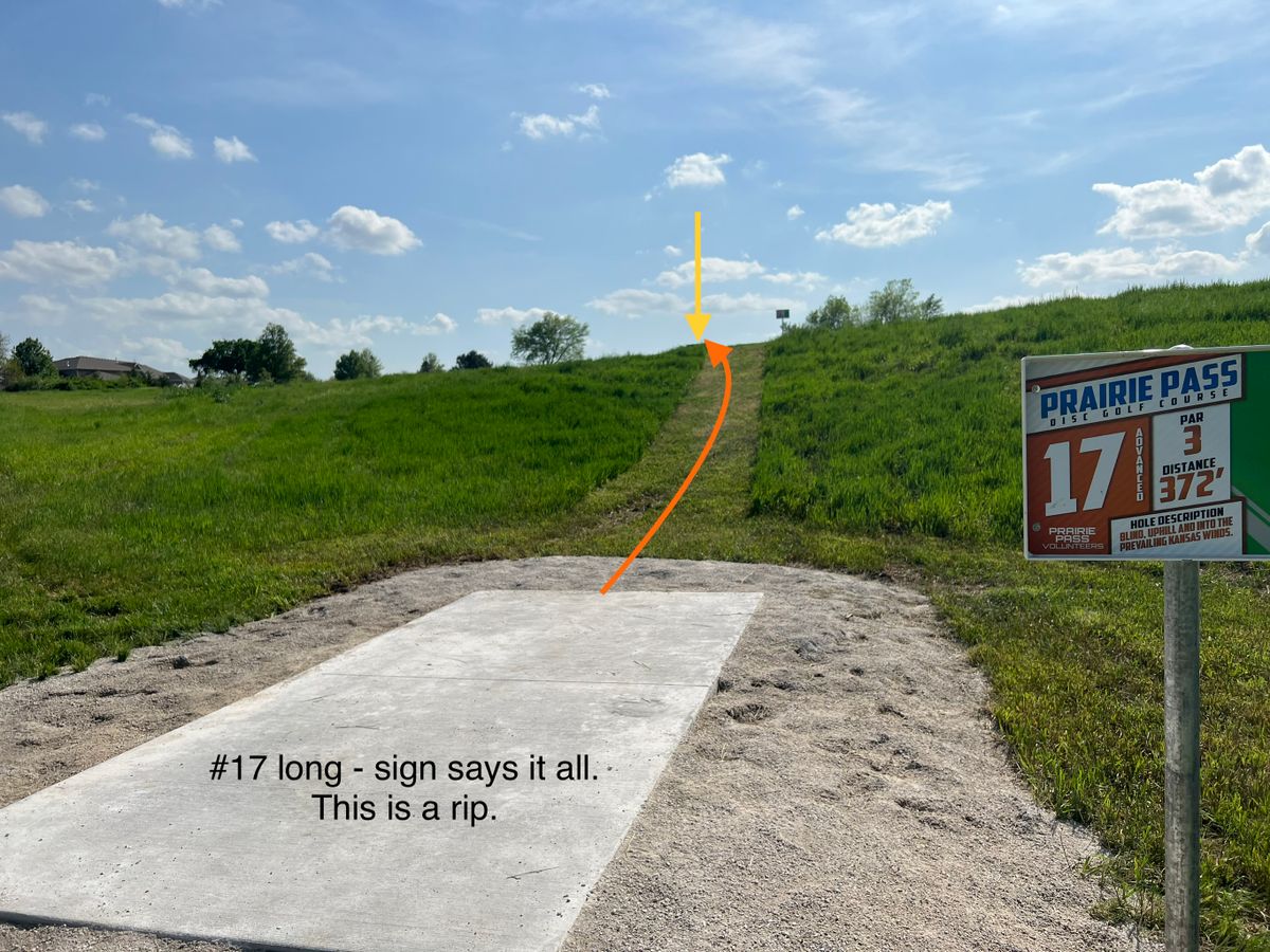 #17 - long
