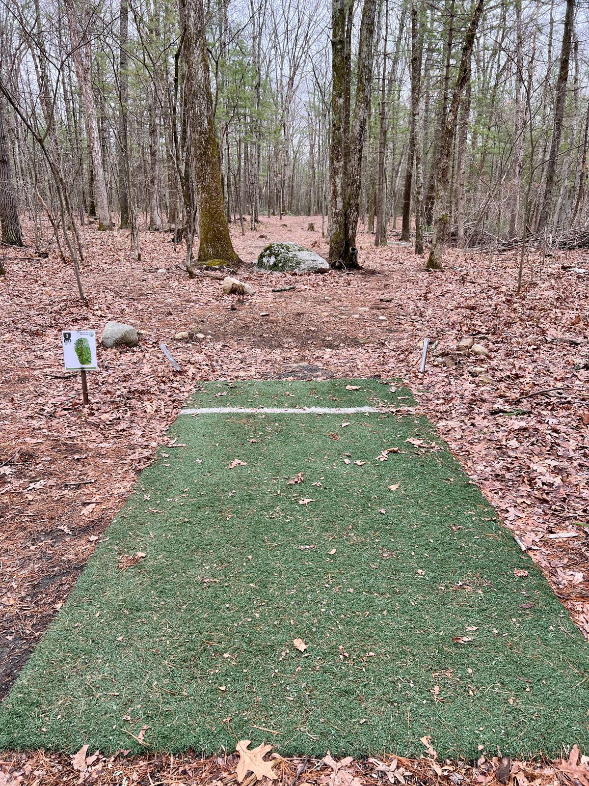 Hole #3 Tee box