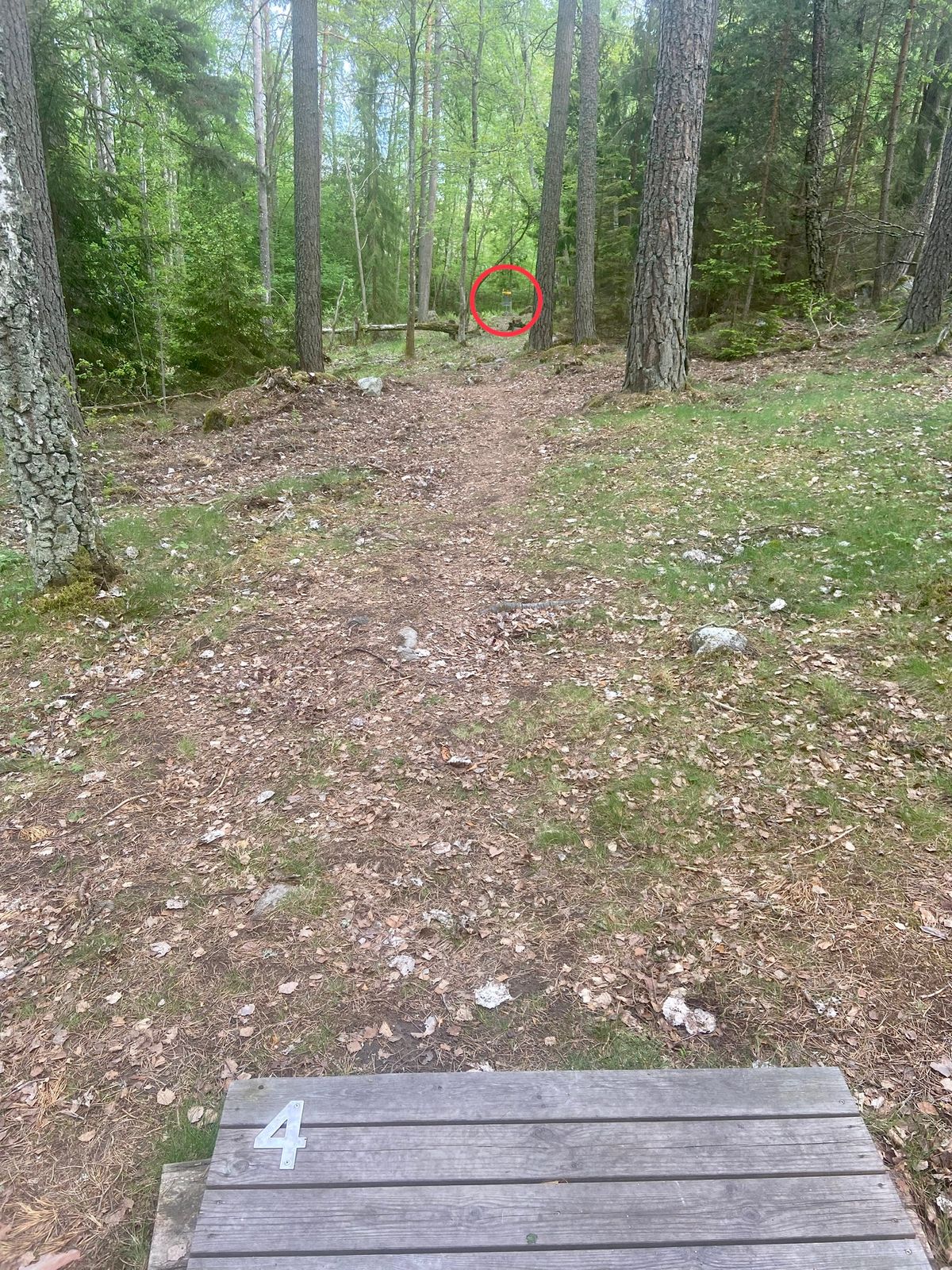 4. Nedför. Rakt. Smalt.