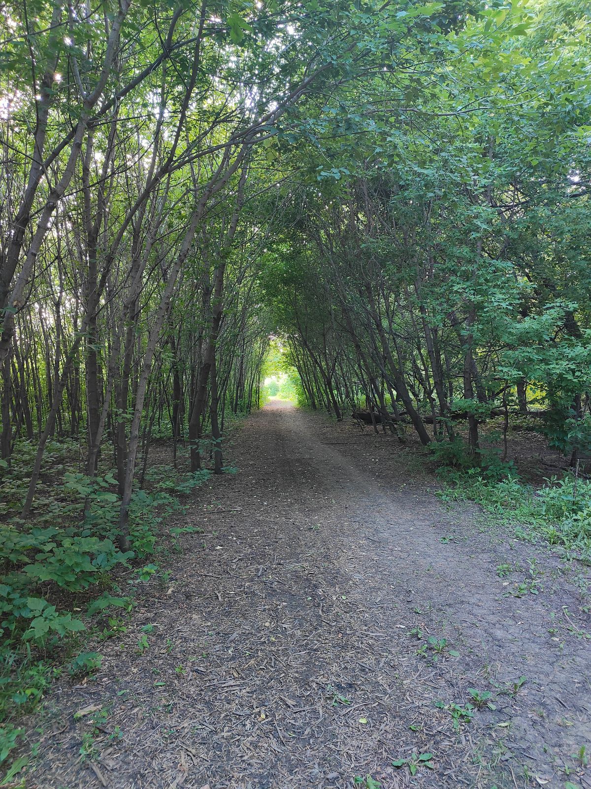 Hole 16 Late Fairway