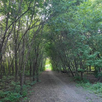 Hole 16 Late Fairway