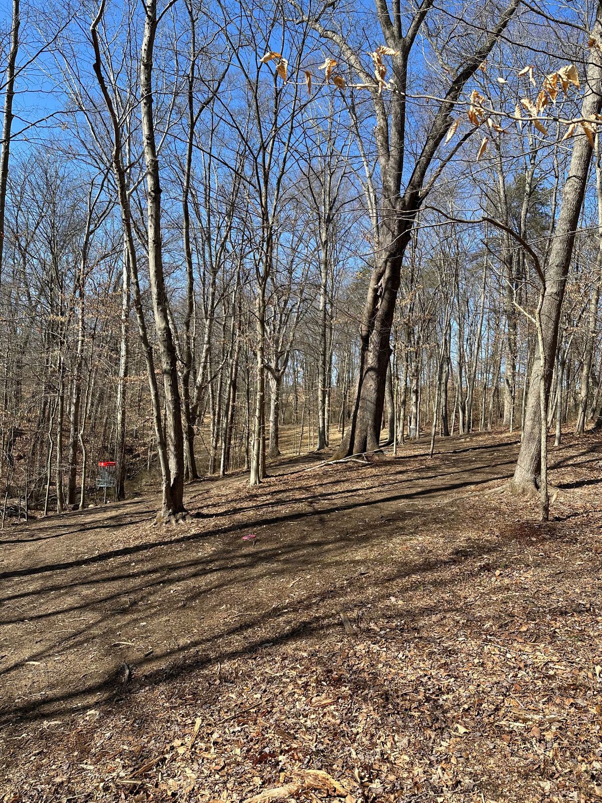 Hole 9