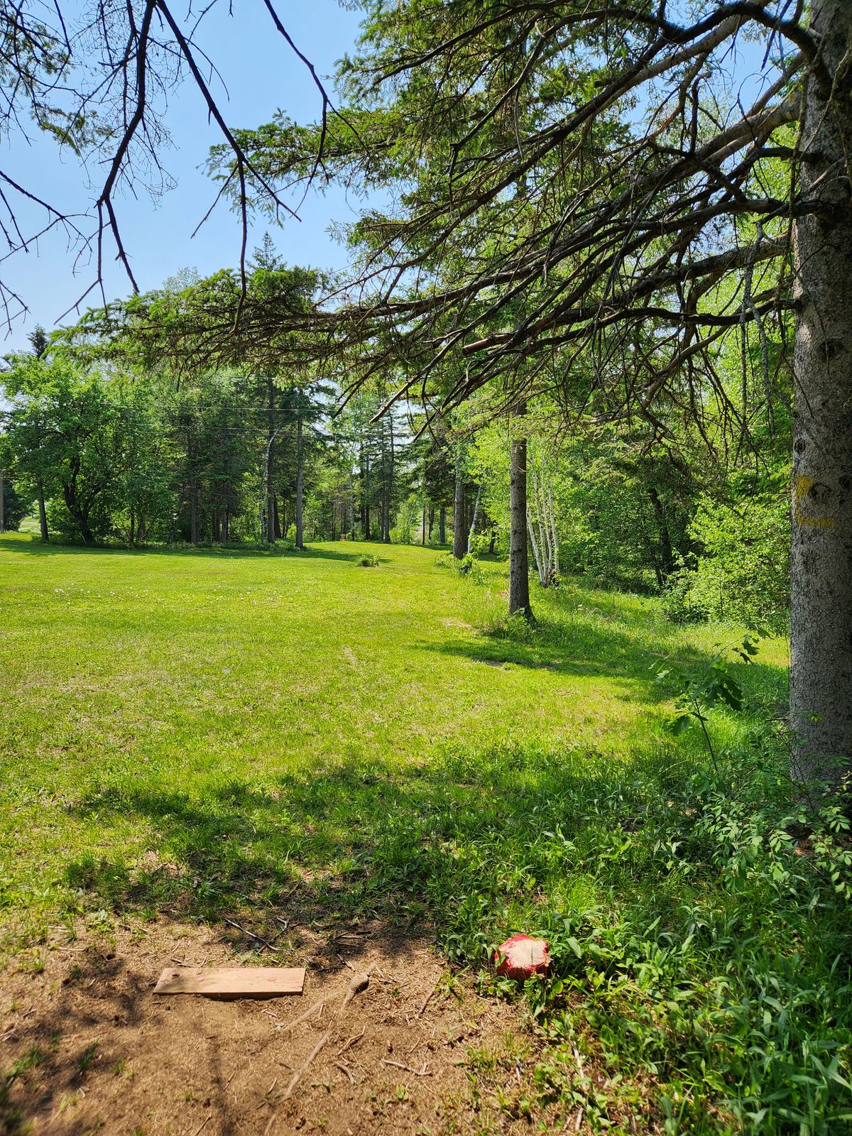 Hole 1 red tee