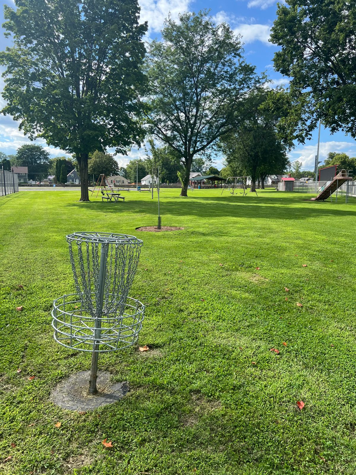Hole 8 basket