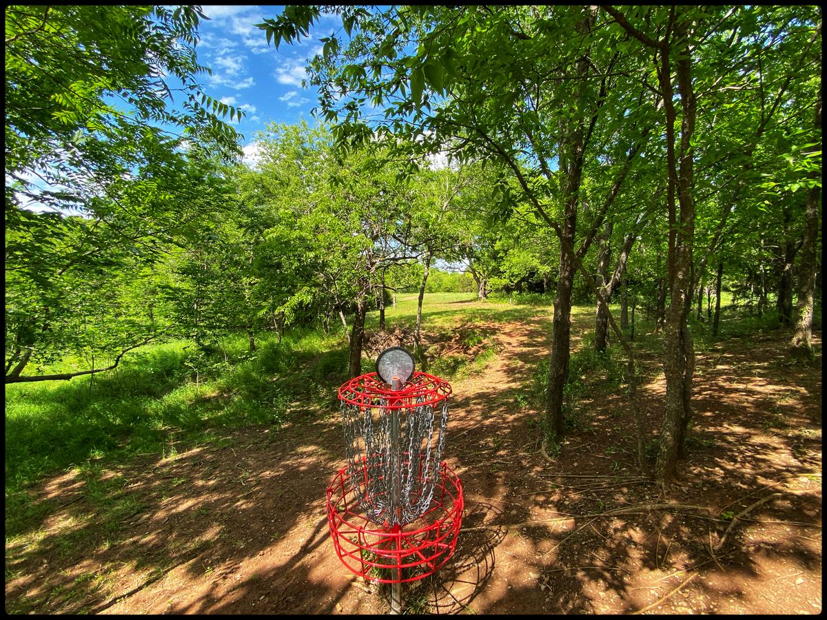 #17 green looking back north up the fairway