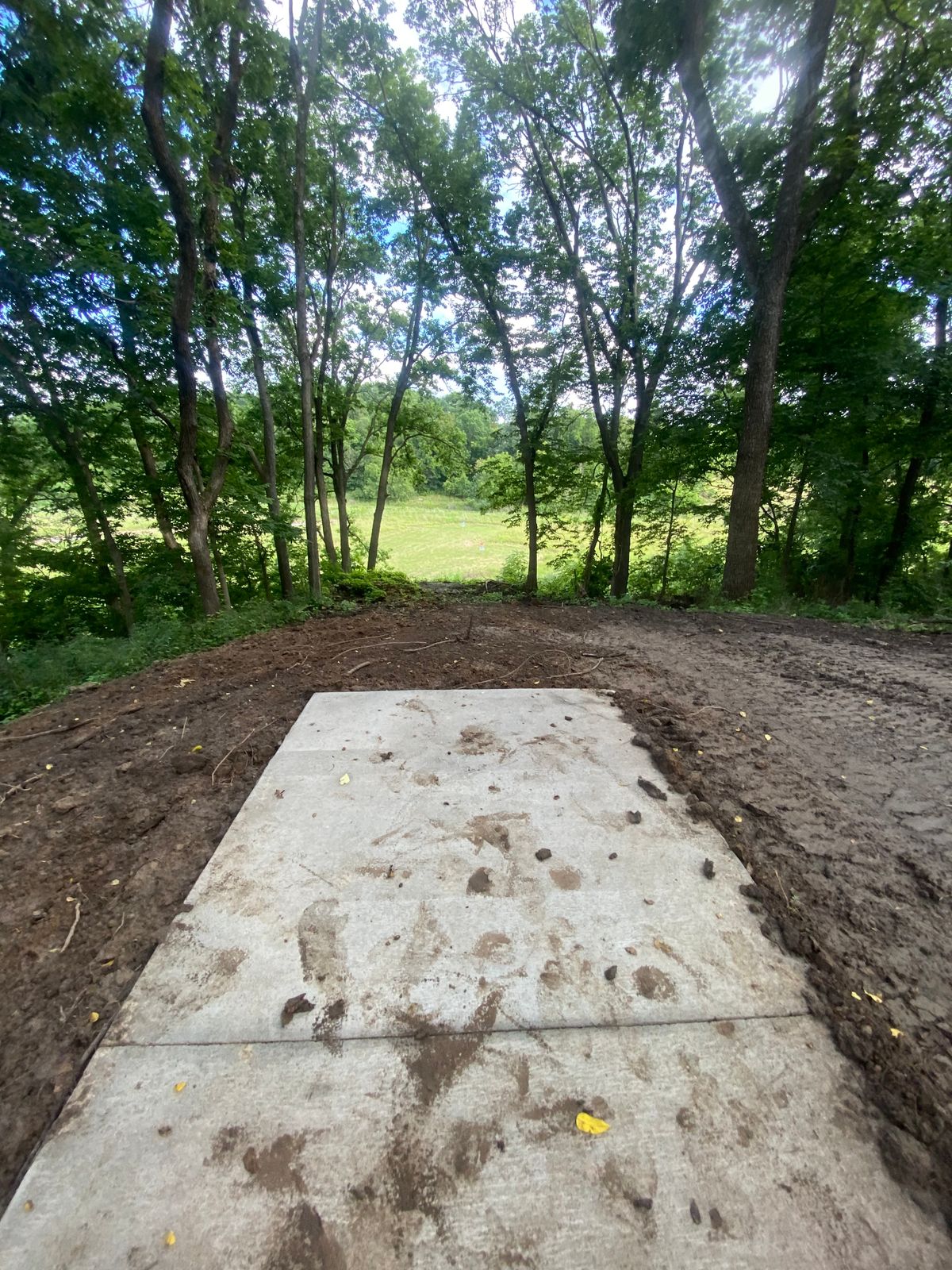 Hole 6 short