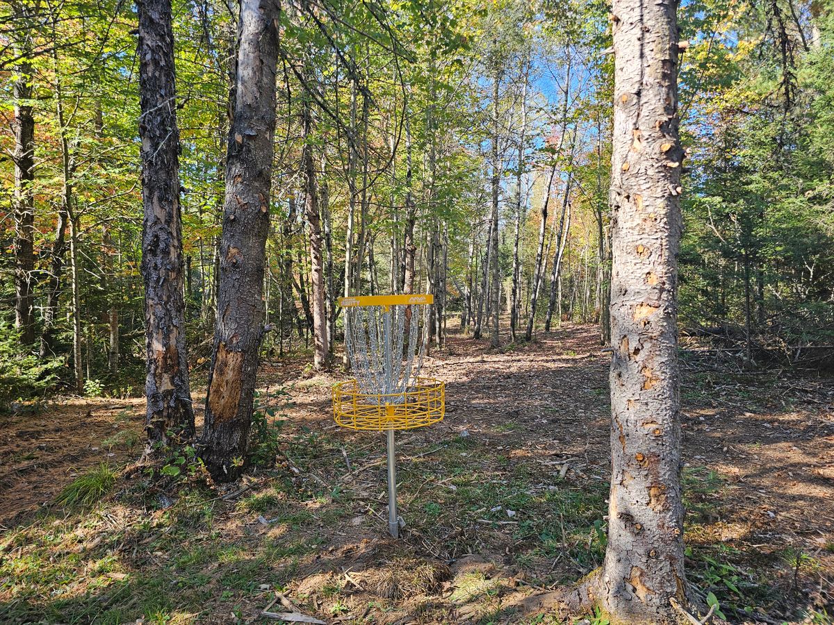 Hole 12