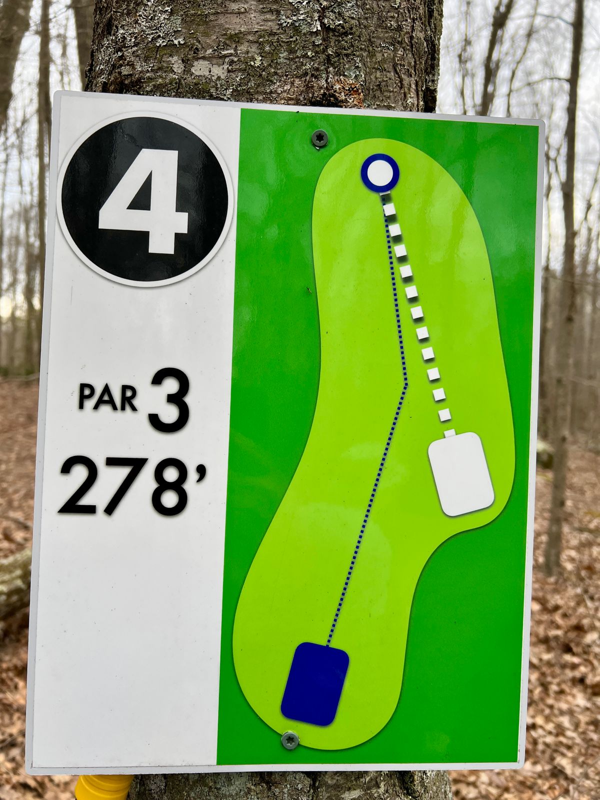 Hole #4