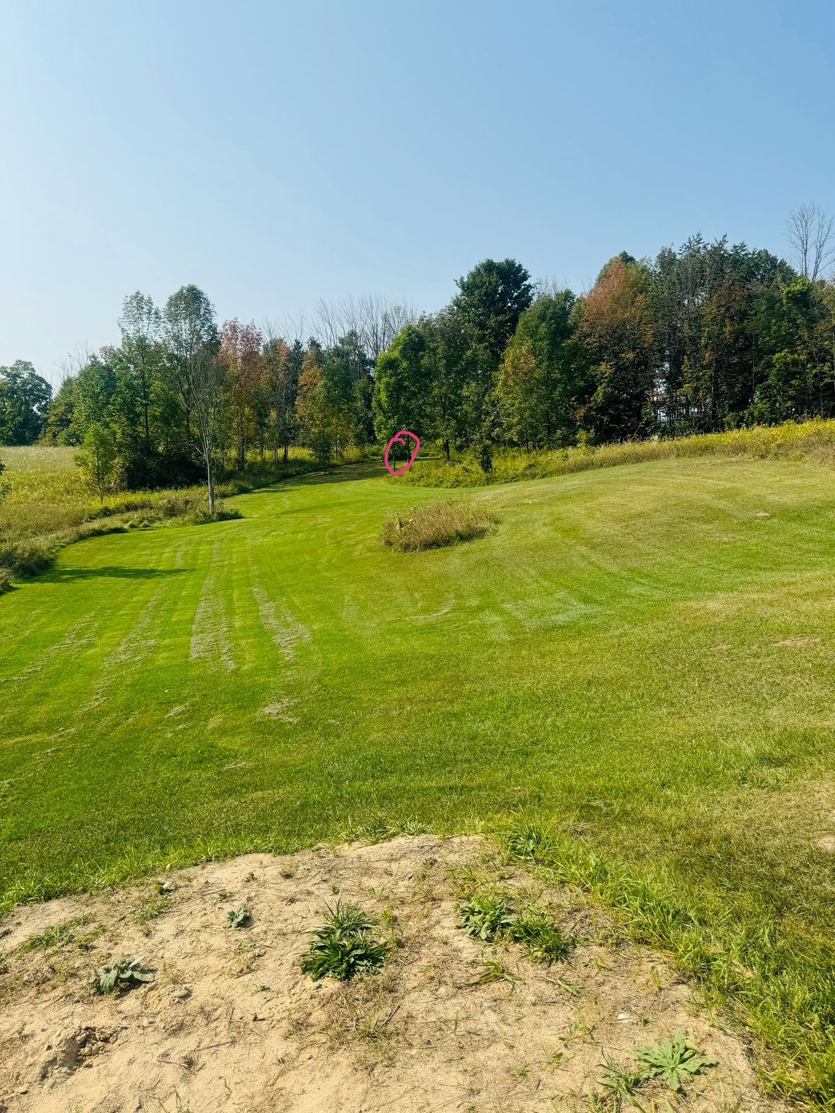 Home 6 from the tee