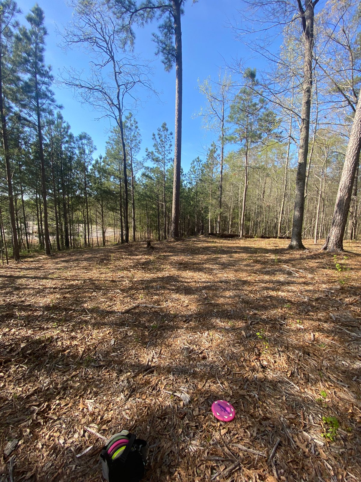 Fairway towards basket