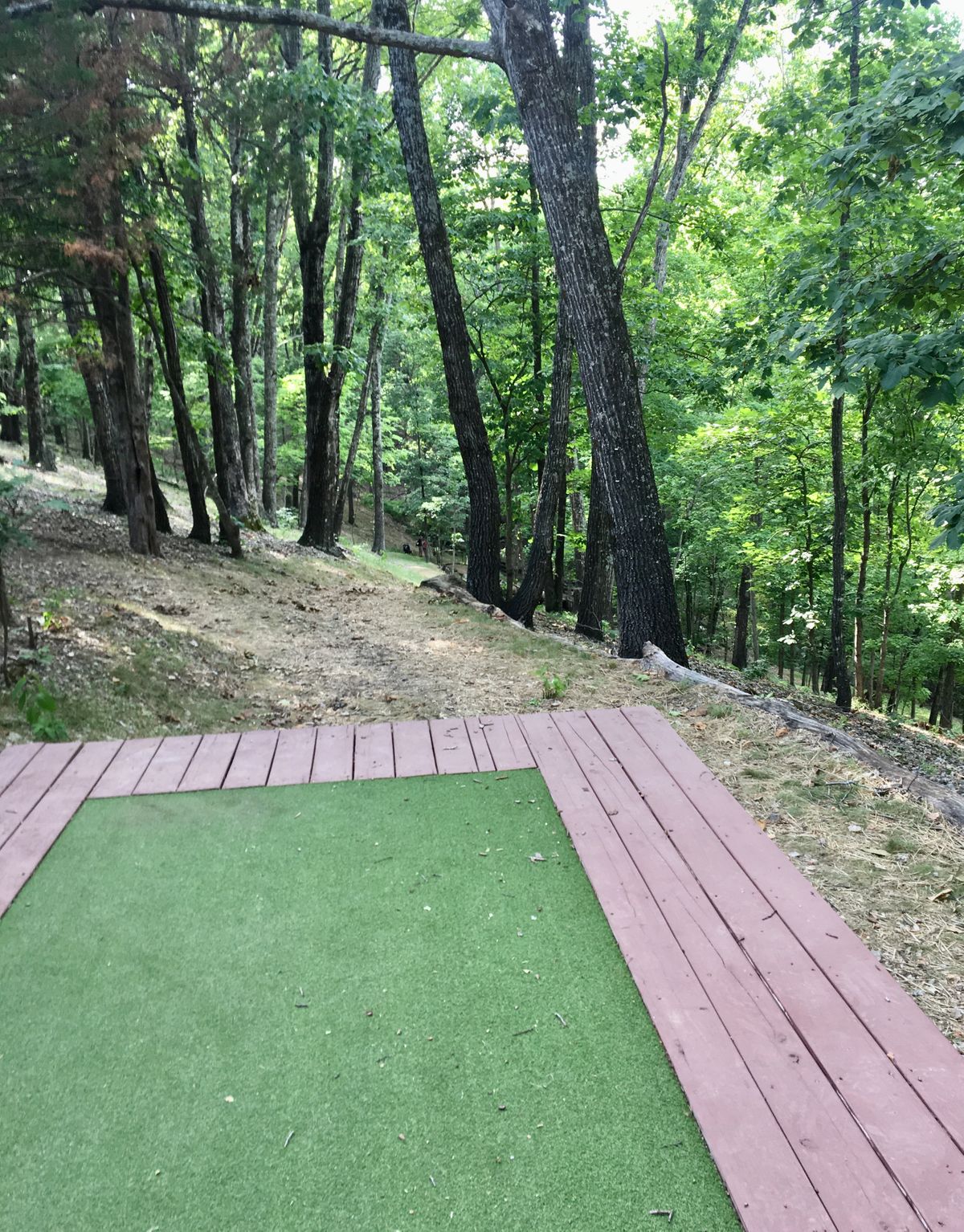 Hole 2 Tee
