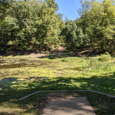 Red Tee on Hole 15