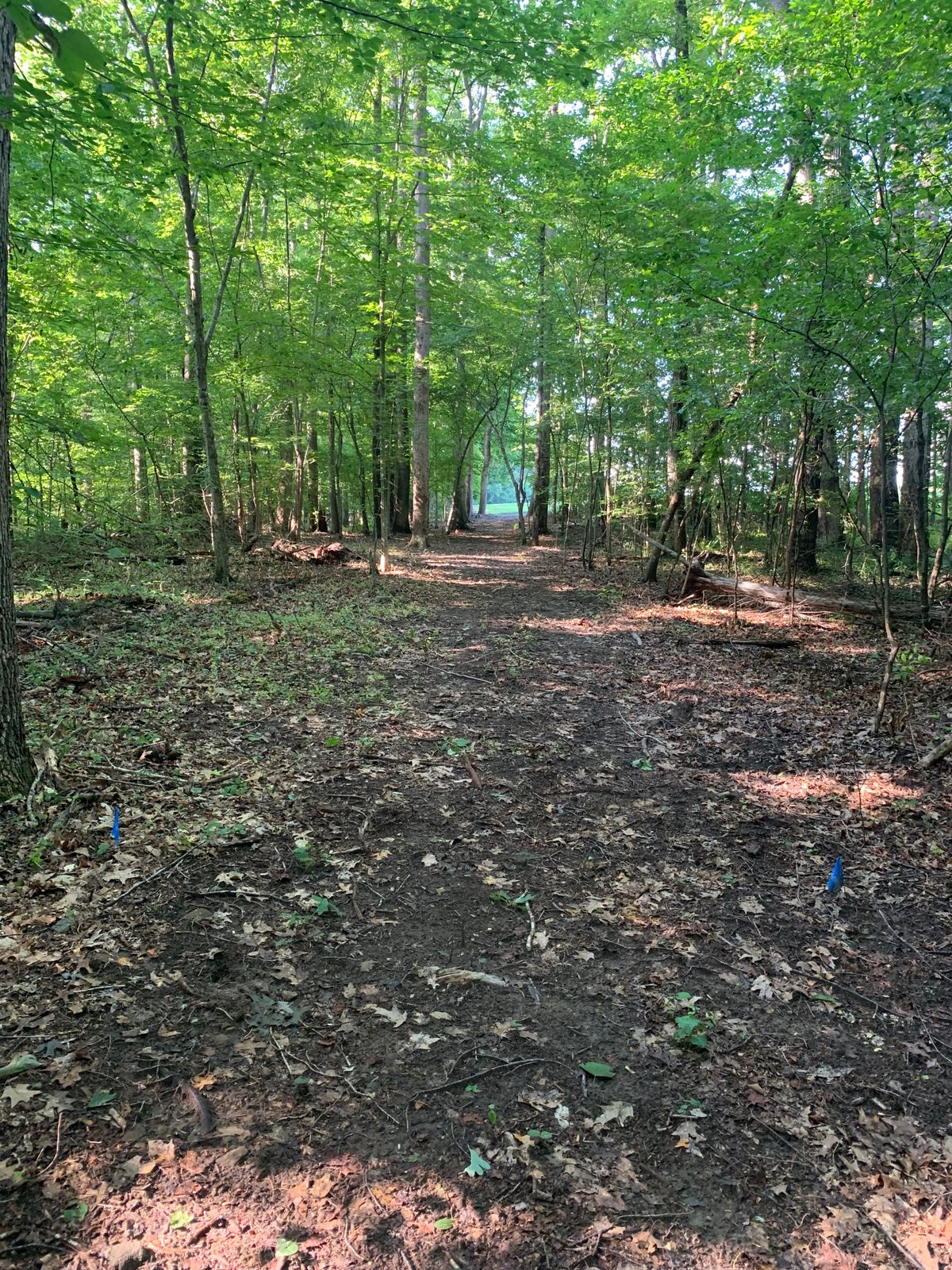 Hole 4 Blue Tee. 