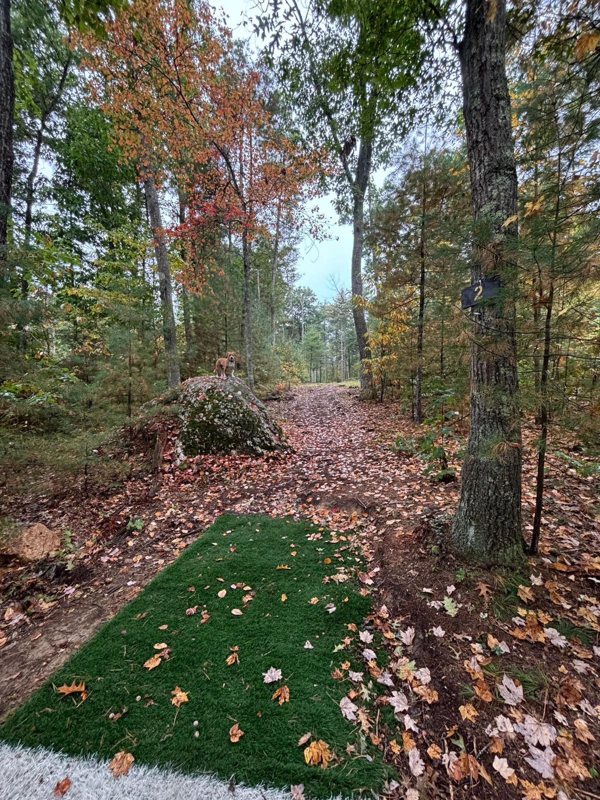 Hole 2 long