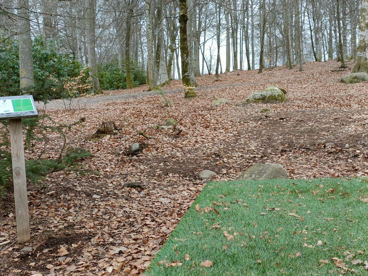 Hål 7. Ny discgolfpark korg och teepad