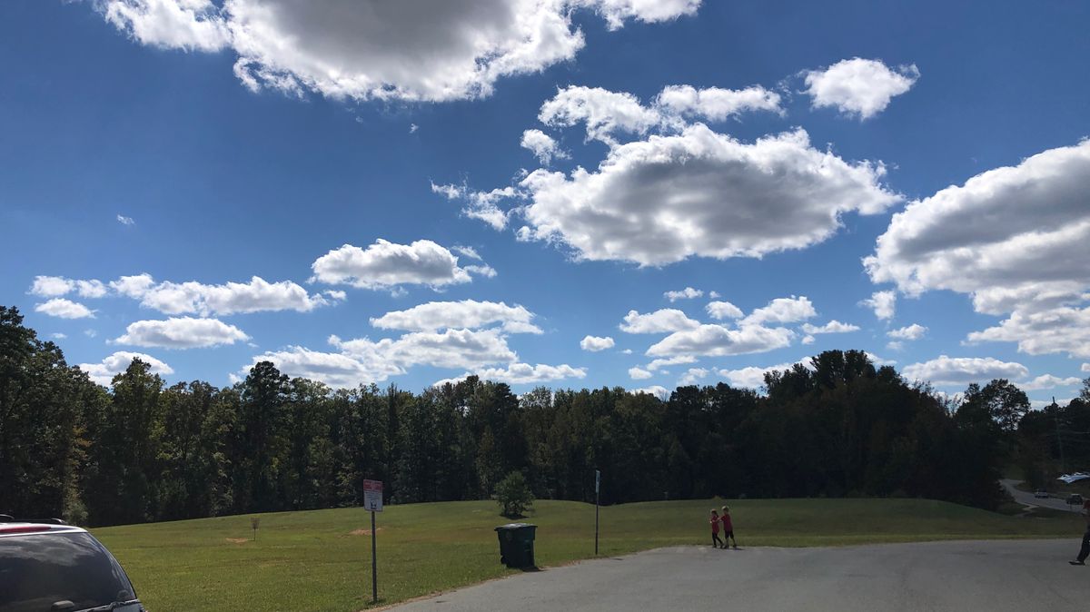 Beautiful fall day in Charlotte!