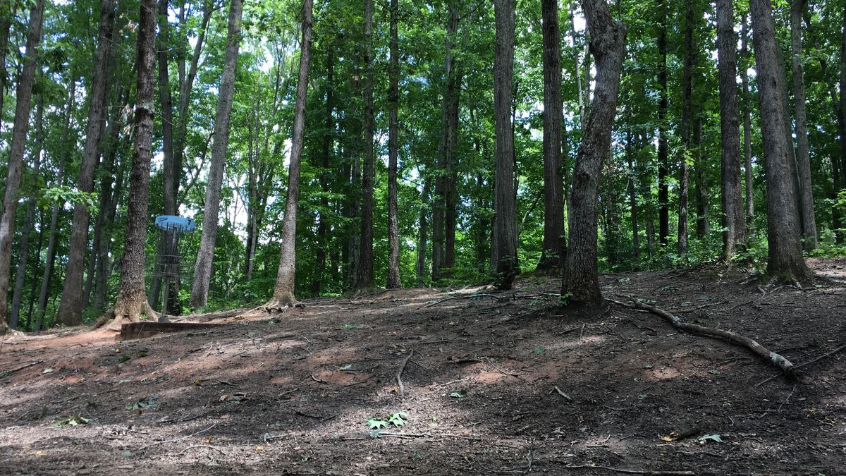 Hole 7