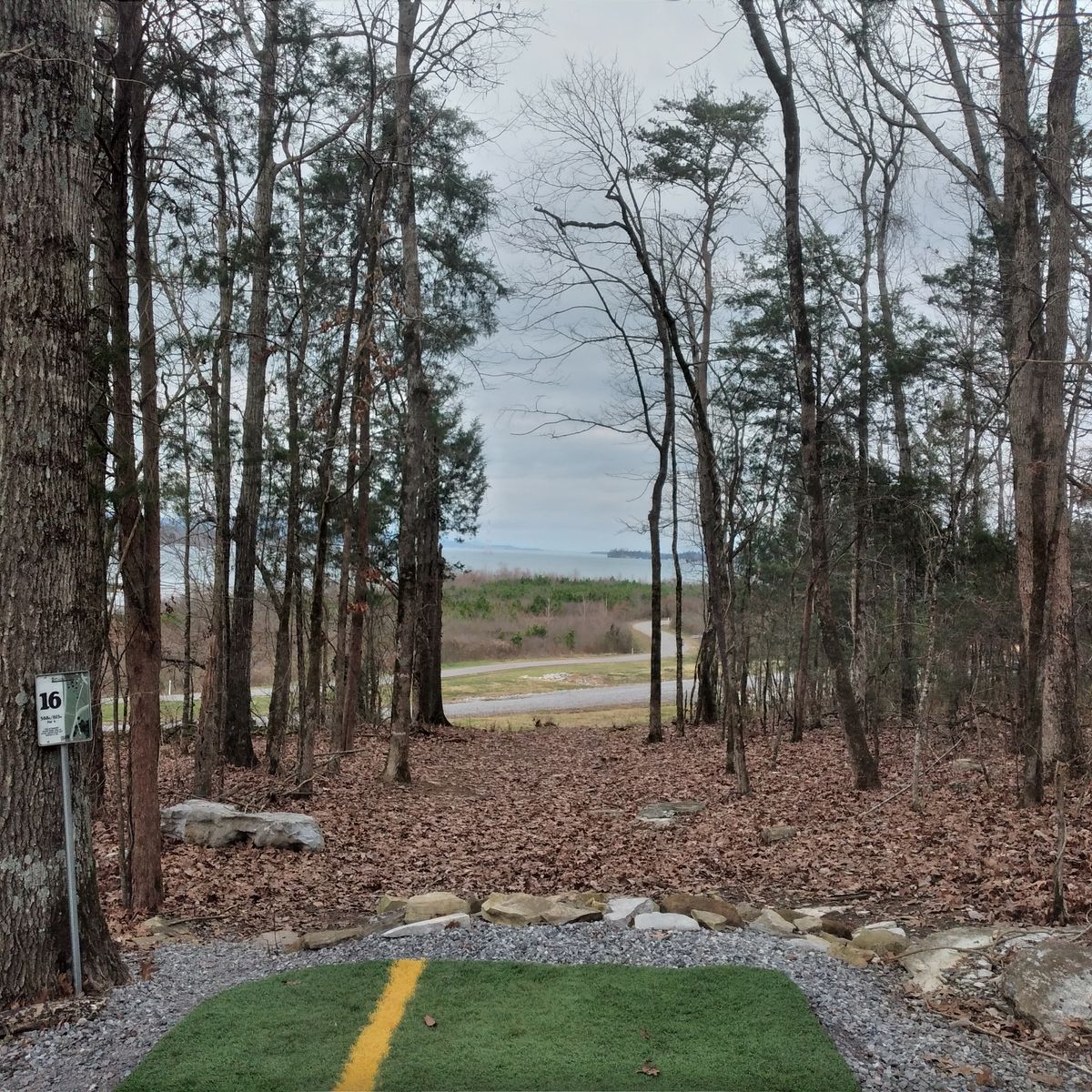 Hole 16 from tee box