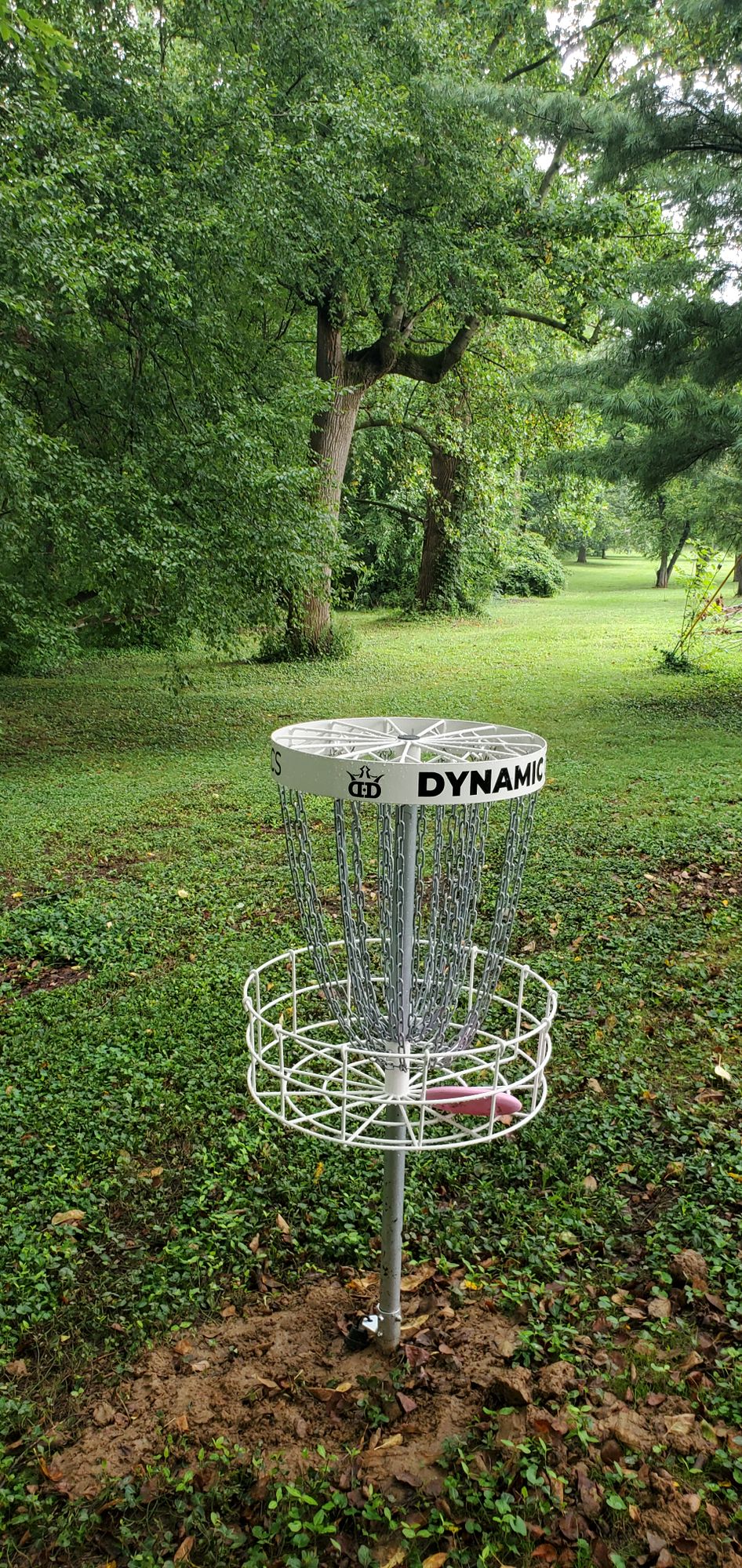 Hole 7 basket looking back to tee