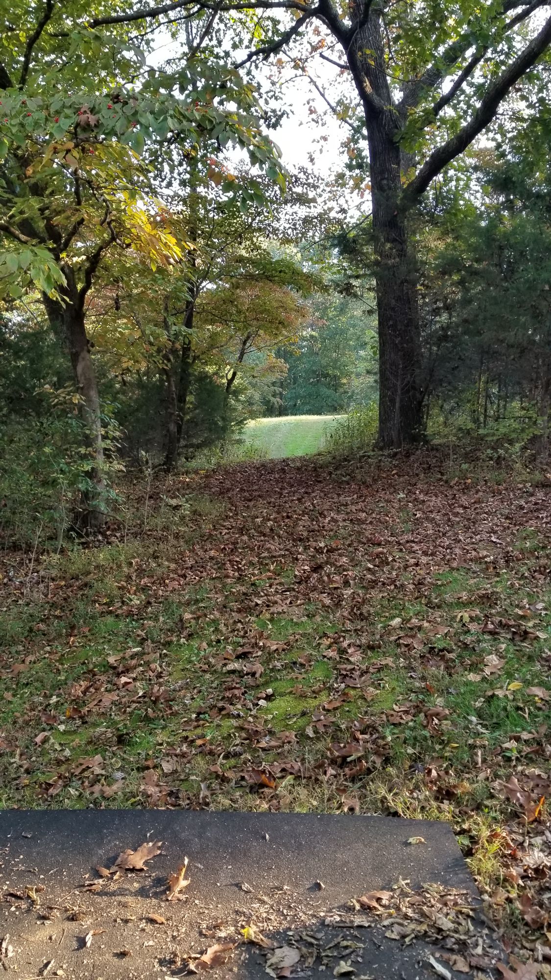 Hole 16 tee