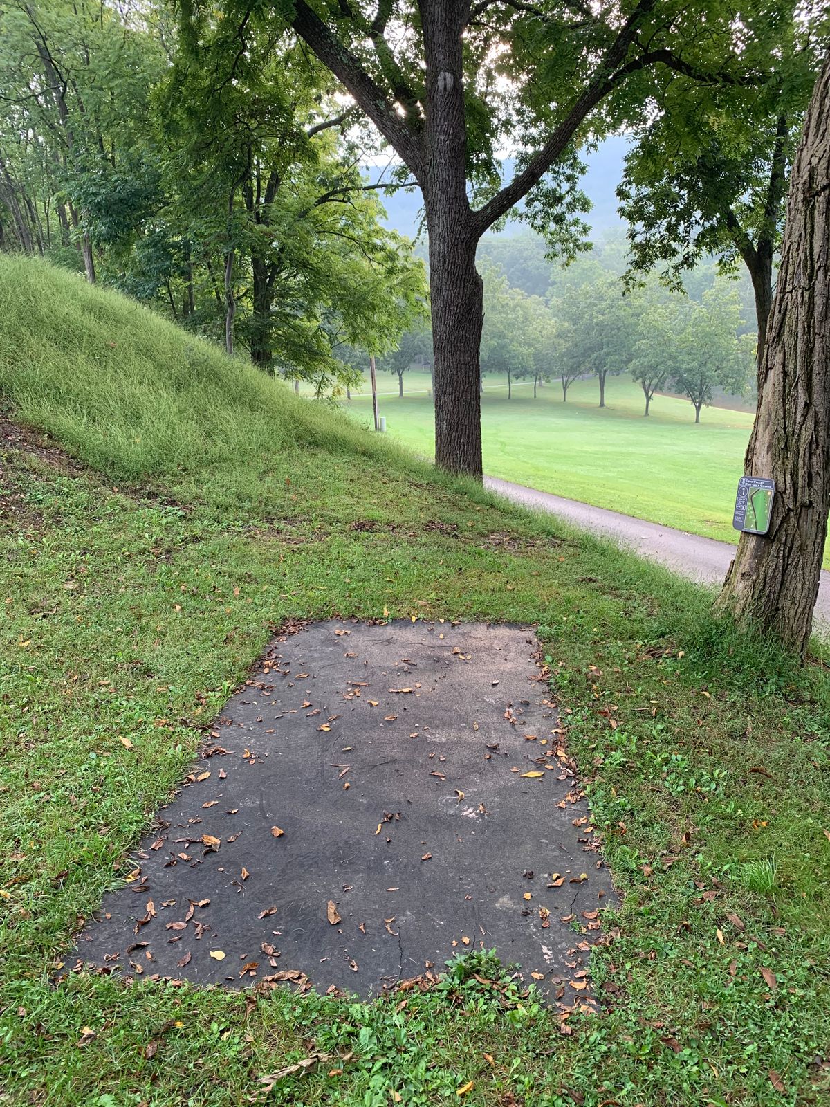 Hole 1, long tee