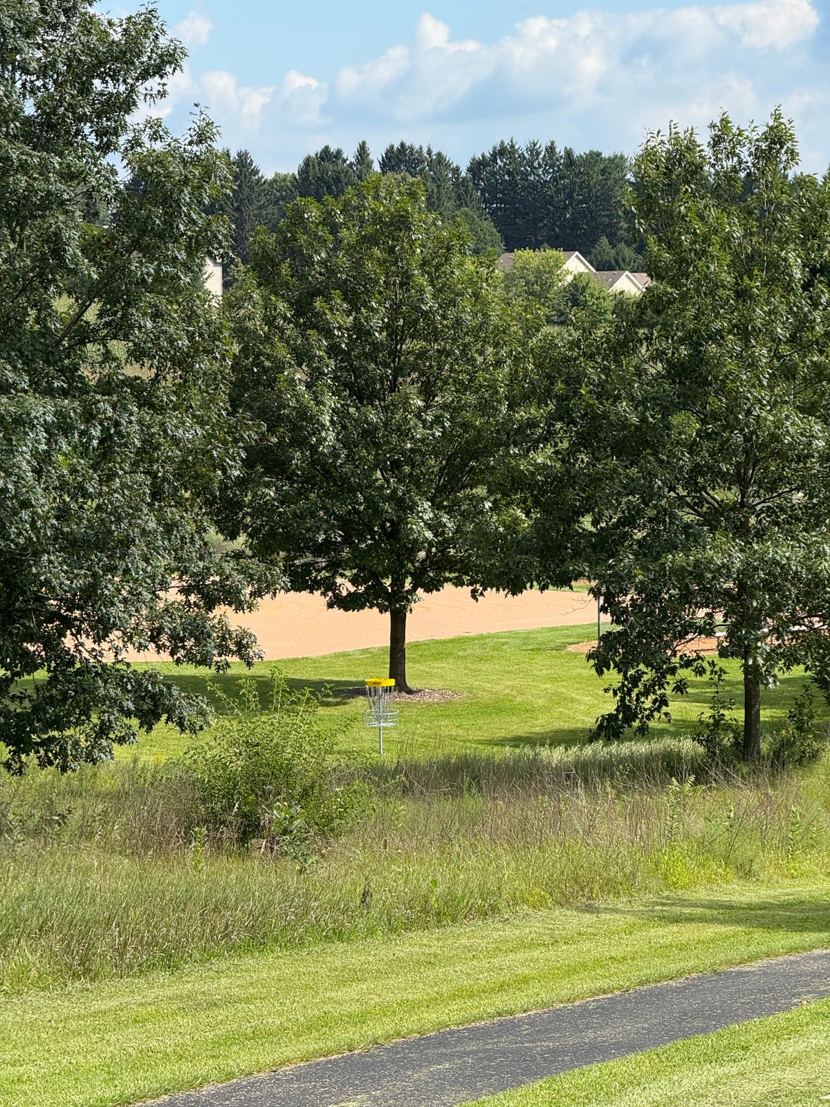 Hole 3 green