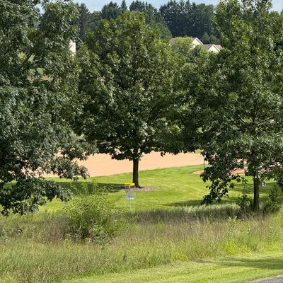 Hole 3 green