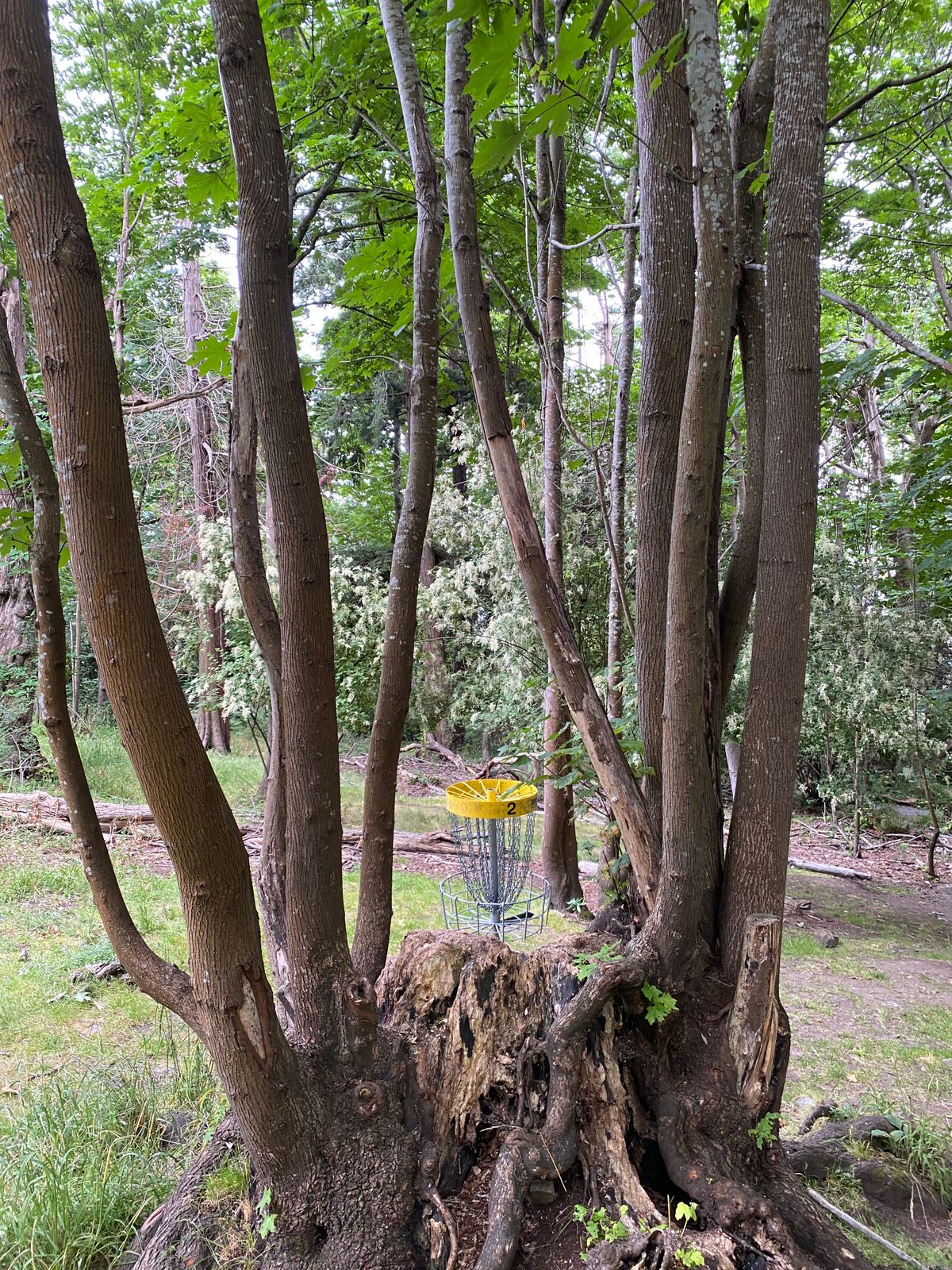 A fun green with an impossible line from the tee. That’s Hole 2.