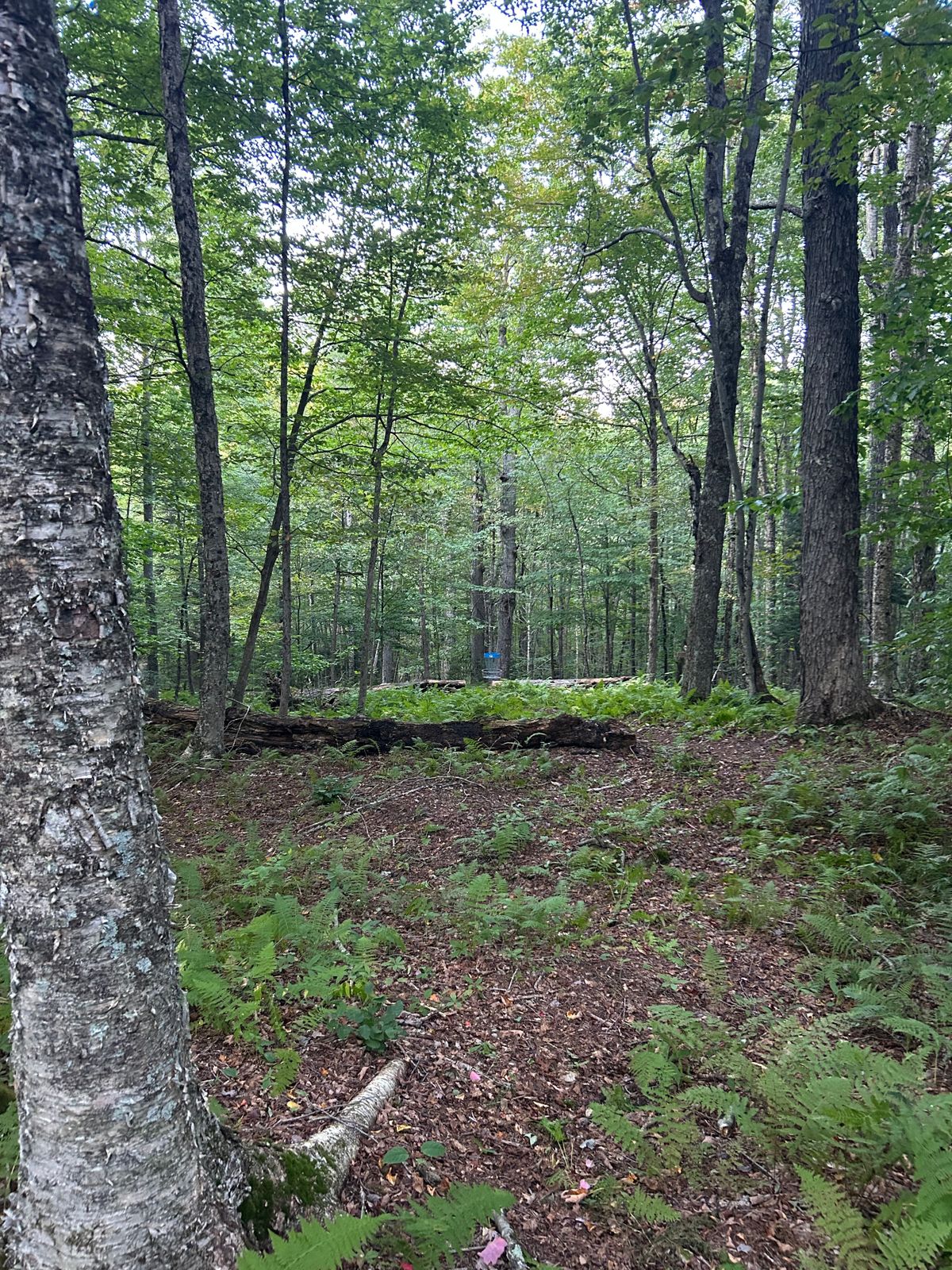 Hole 16 fairway