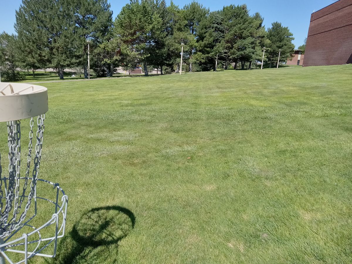 Neo Layout hole 9. Tee off from grass right of basket 8 to basket #9(white number on basket.) Go high and over, throw low under trees, or try to skip it under the trees to the basket. Be creative and have fun.