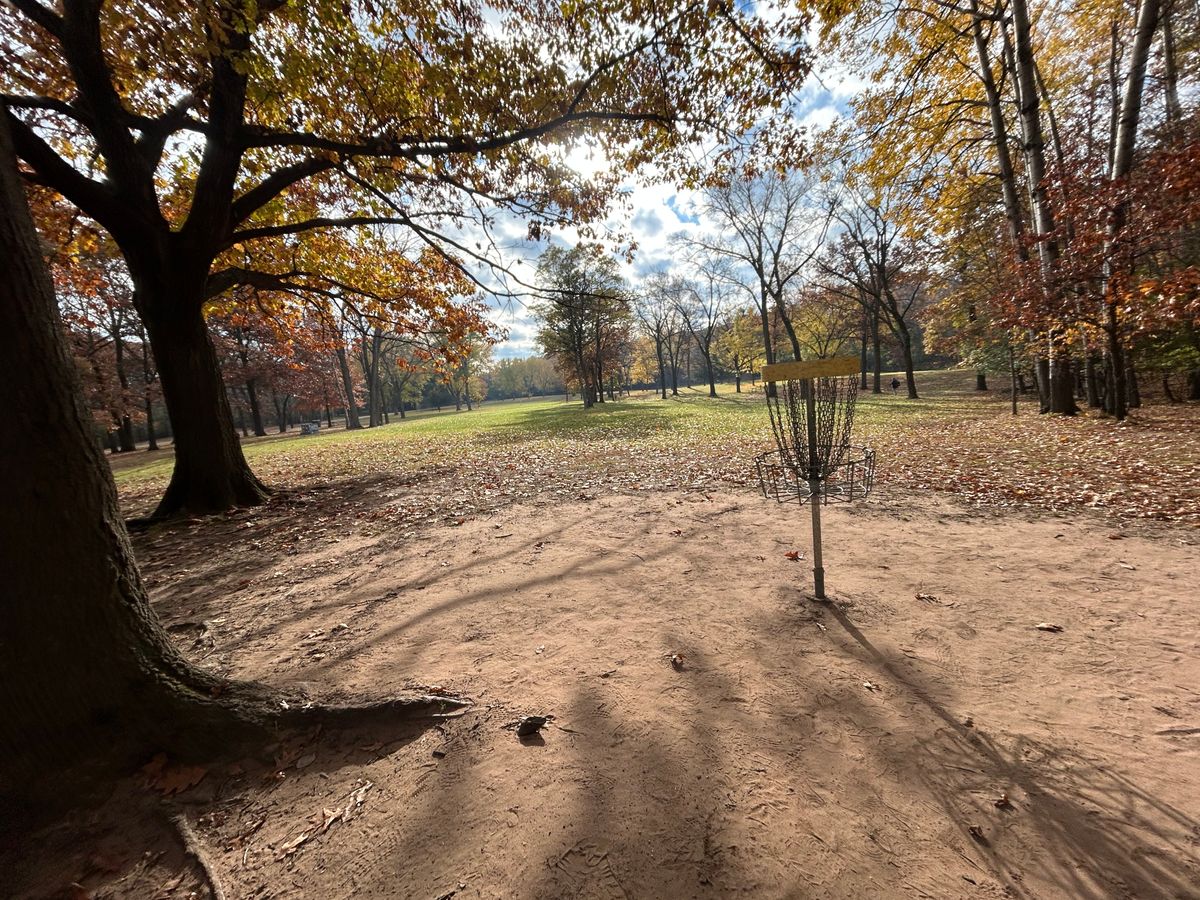 Hole 9 basket