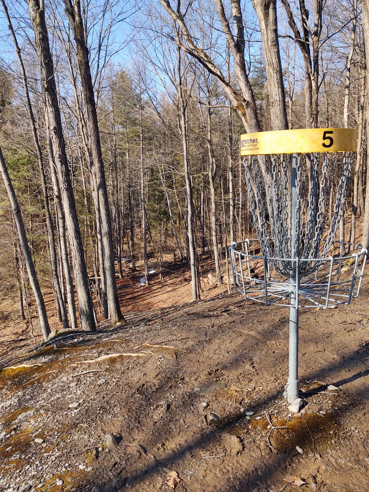 Hole 5 looking down at the tee