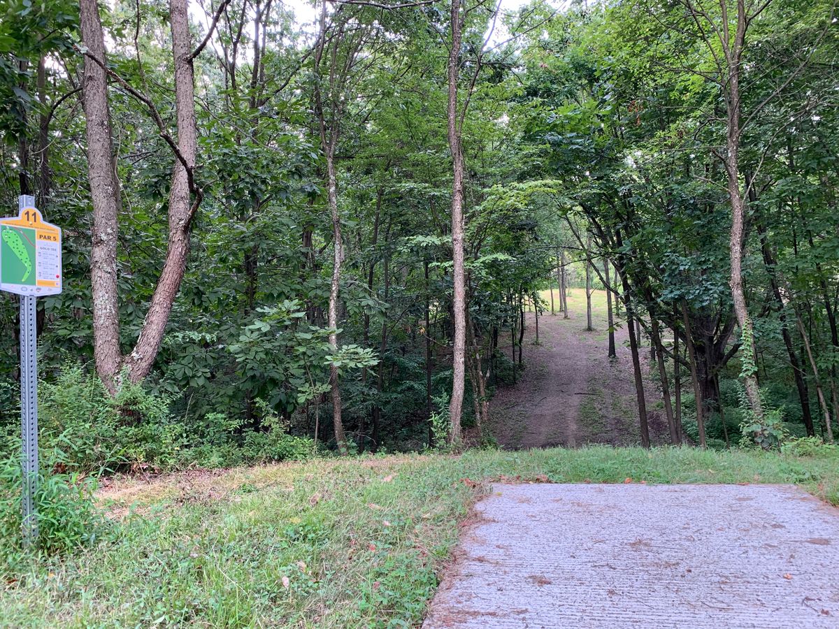 Hole 11 gold tee