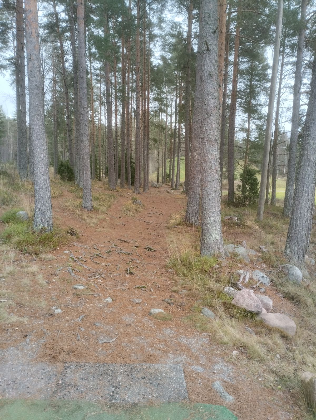 Väylä 4