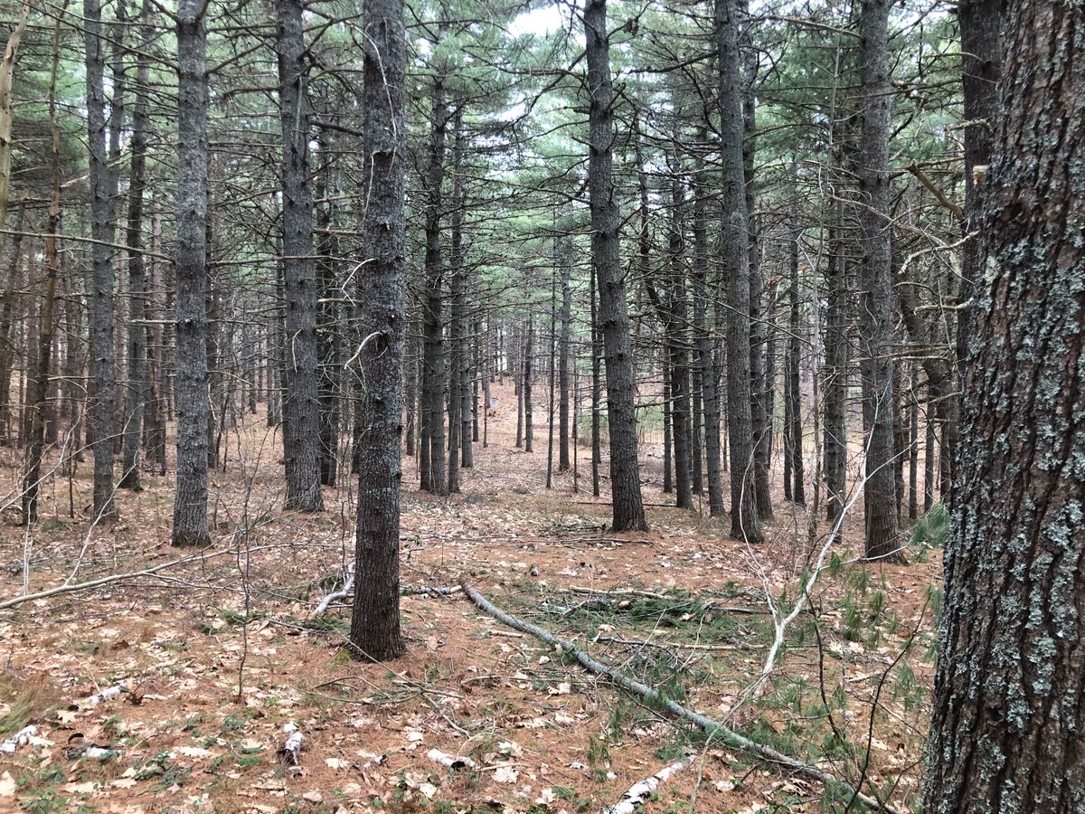 Sneaky line is fun when you hit it!