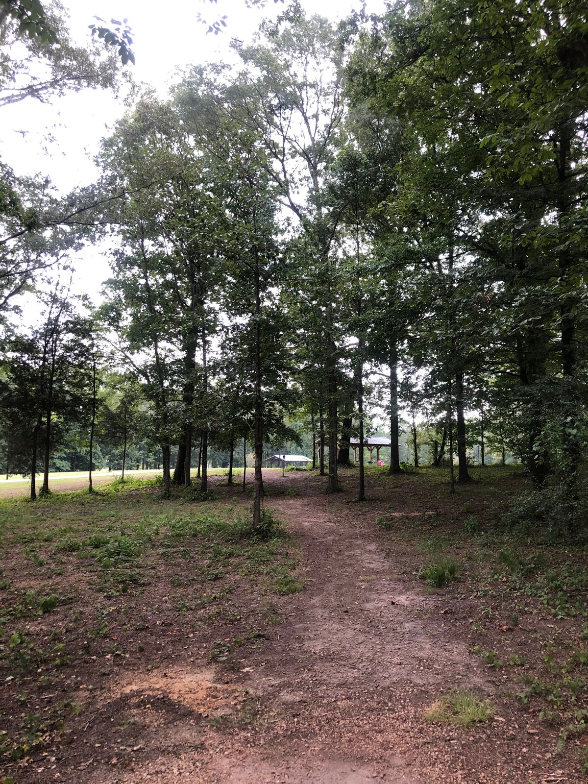 Hole 11