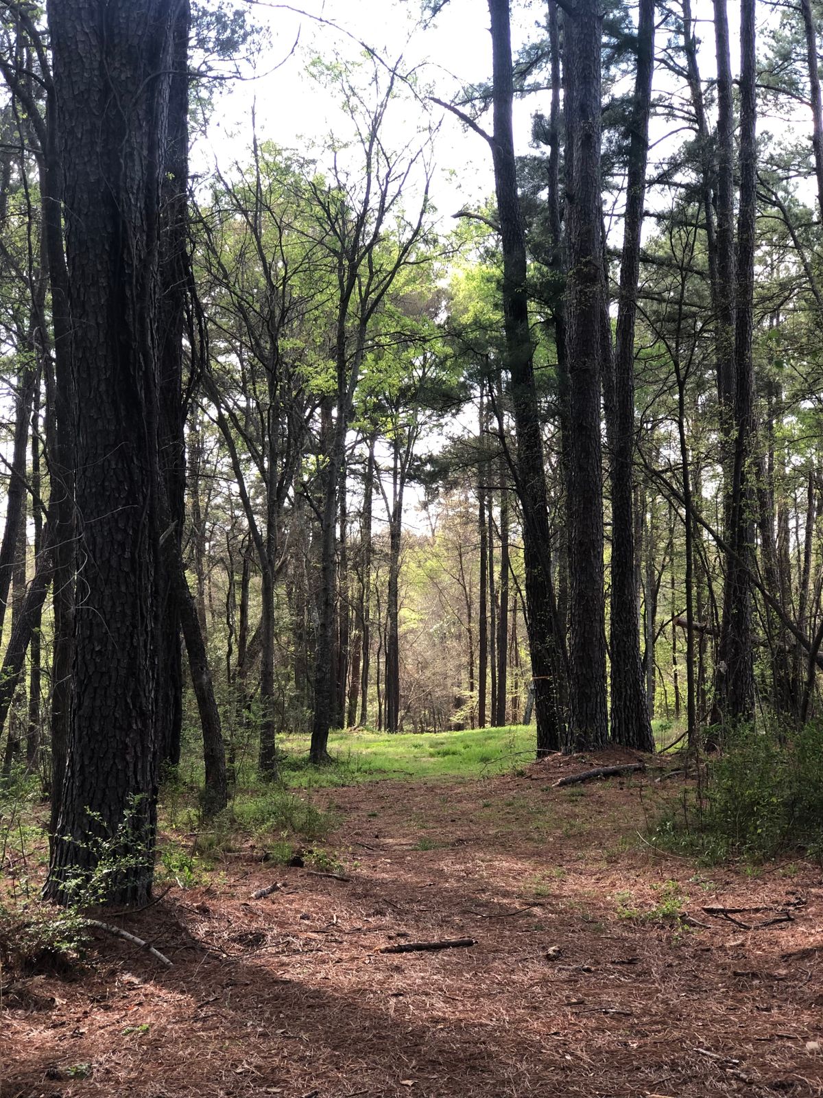 Hole 10