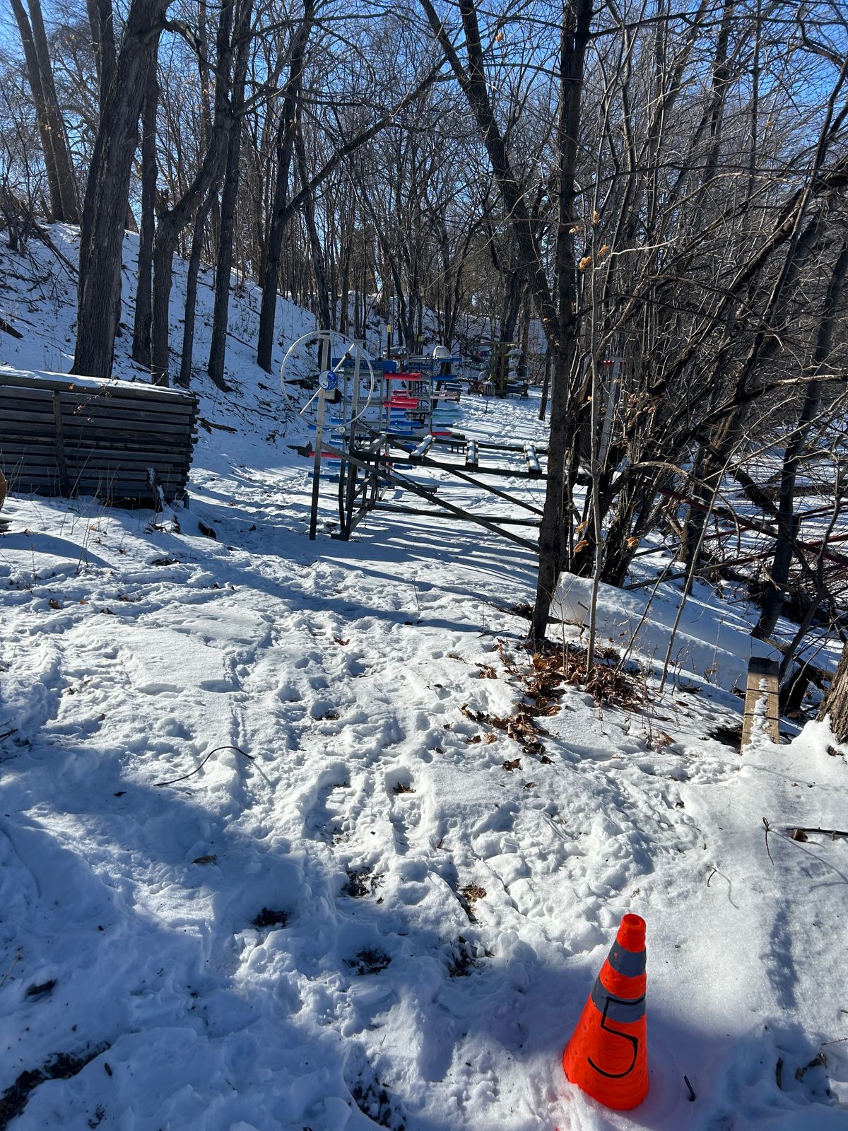 Hole 5 tee area