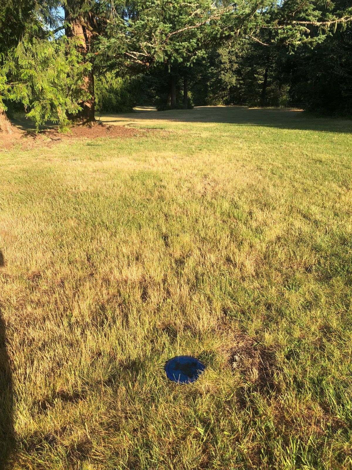 Hole 2 Approach