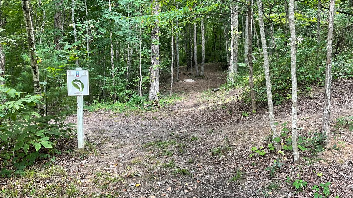 Hole 8