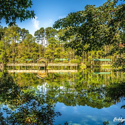 Pine Trace Park pond and fishing pier