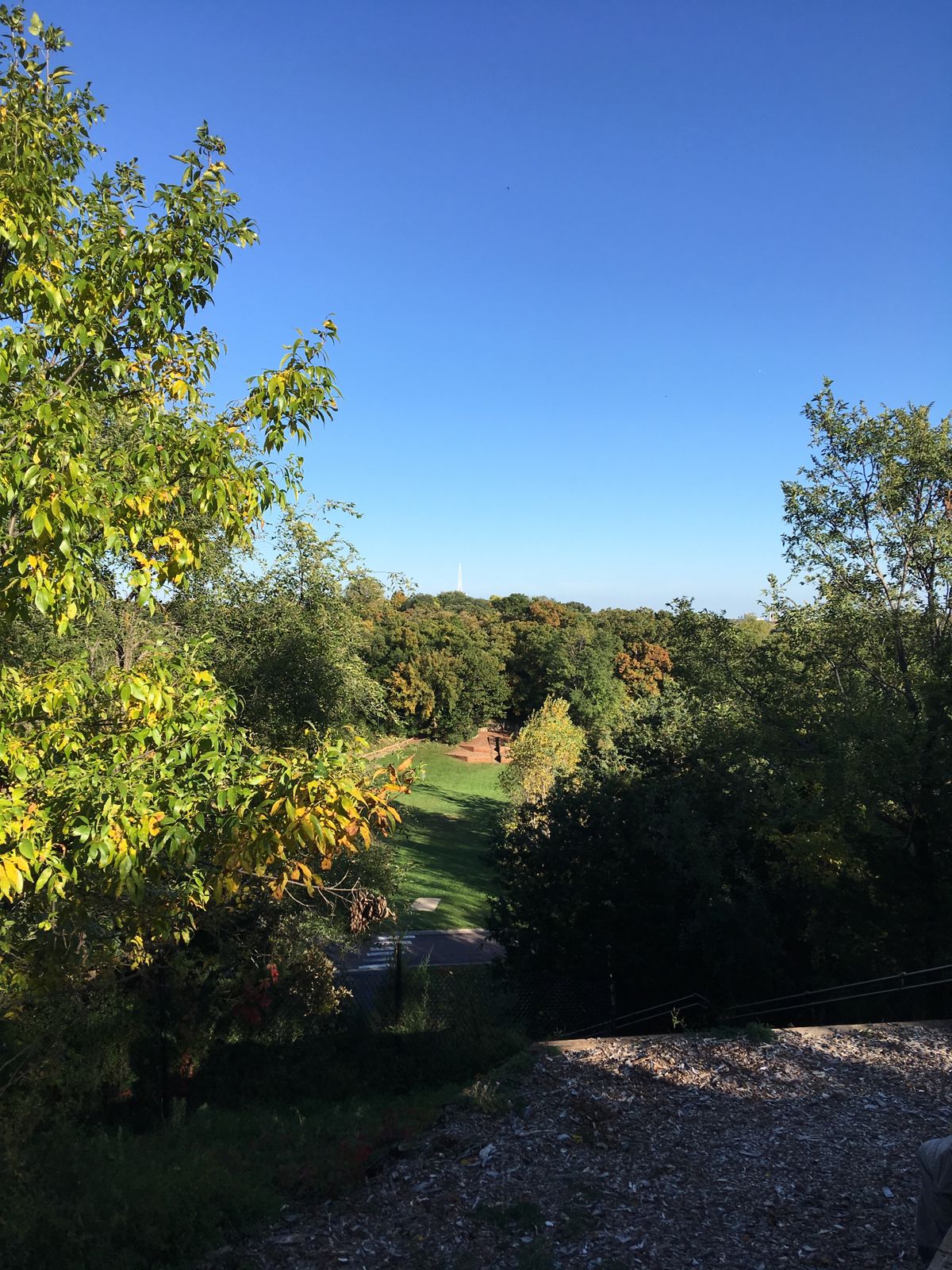 17 from left of tee box