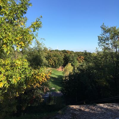 17 from left of tee box