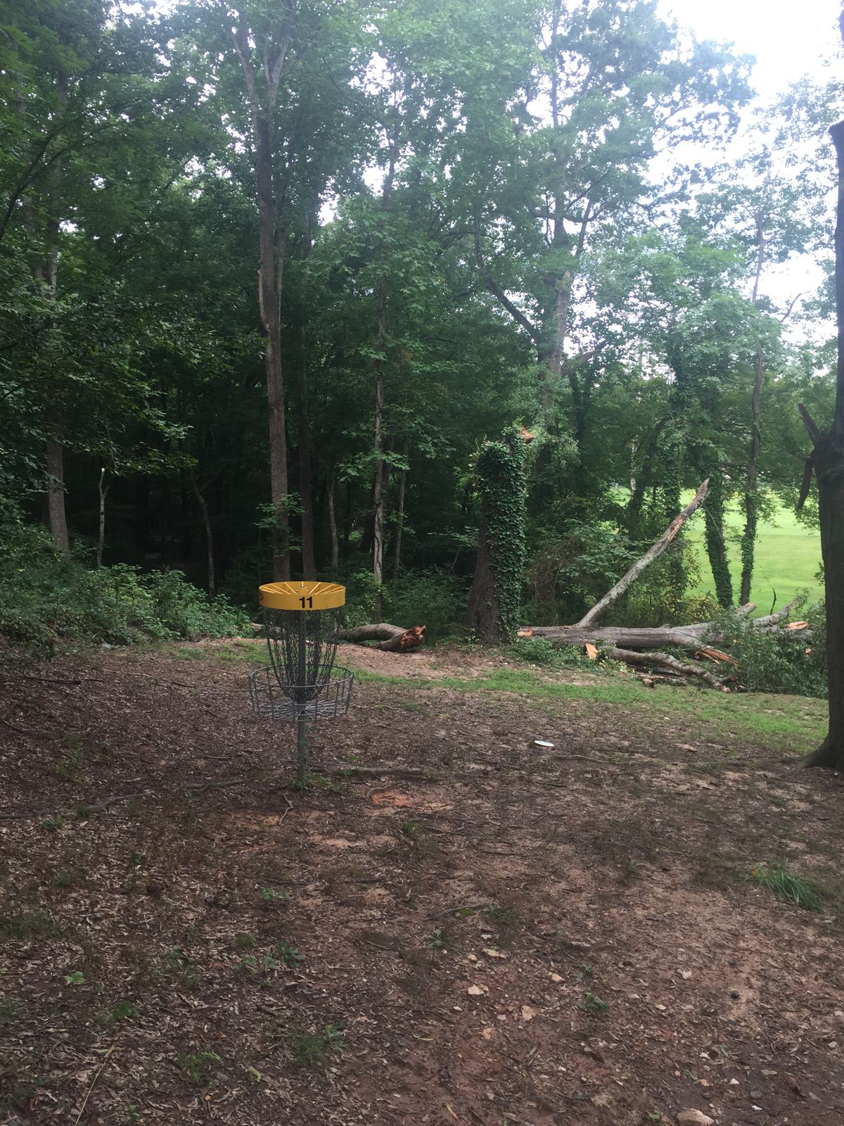 Basket says 11 in photo, but has been changed to 9. And fallen tree has been removed. 