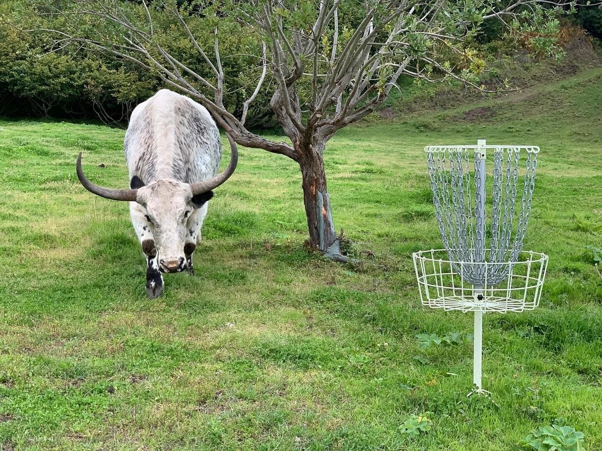 Yeti can add a whole new level of challenge to those tester putts…