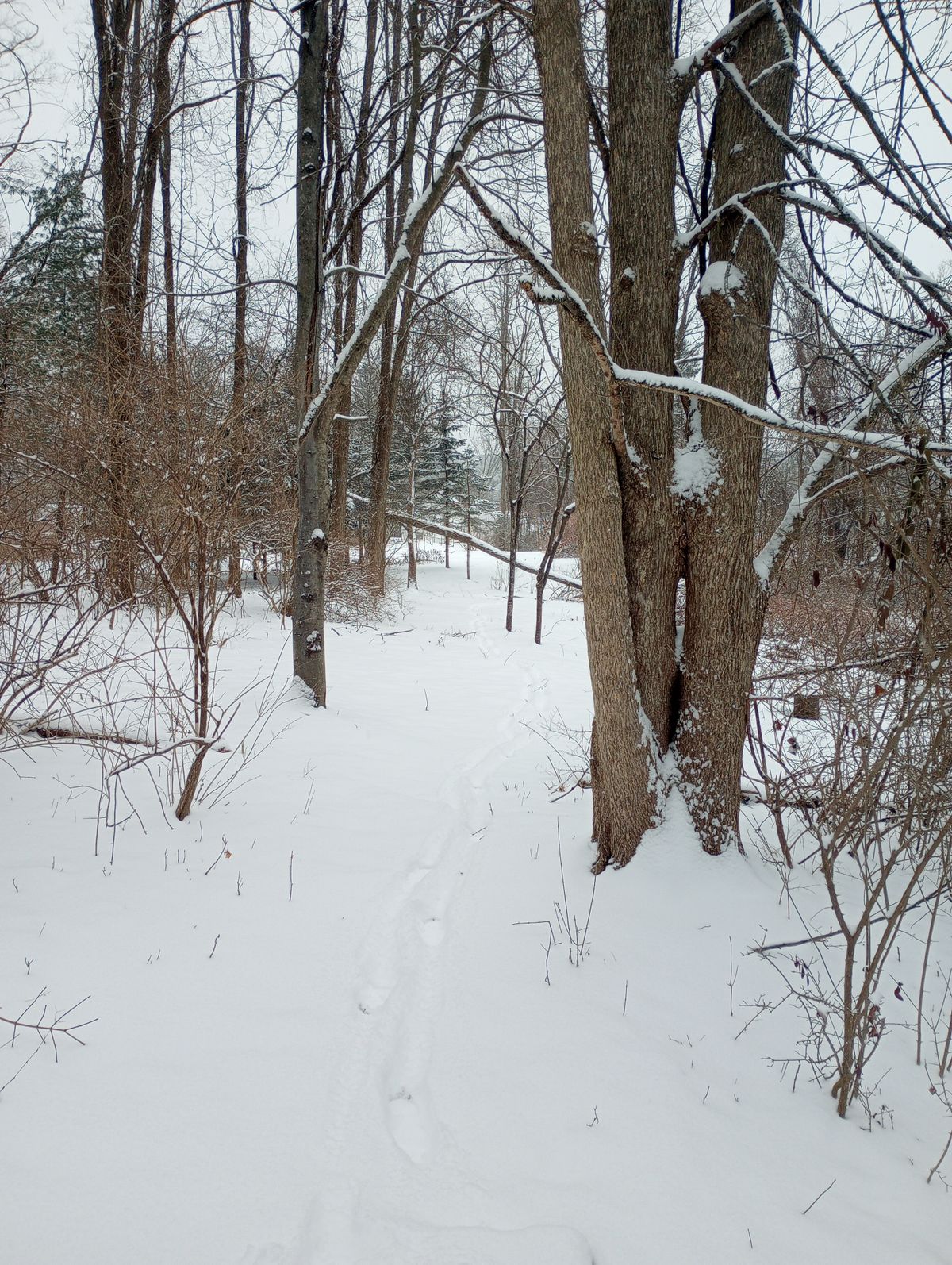 Tee Winter