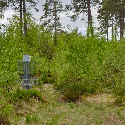 Går ej o se korgarna från TEE som inte äns finns.. totalt över vuxet!