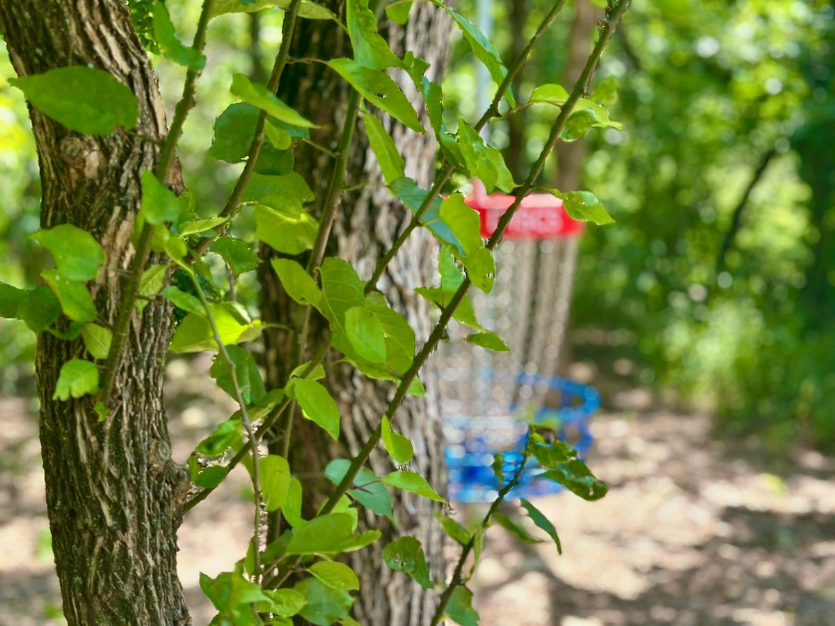 Hole 12