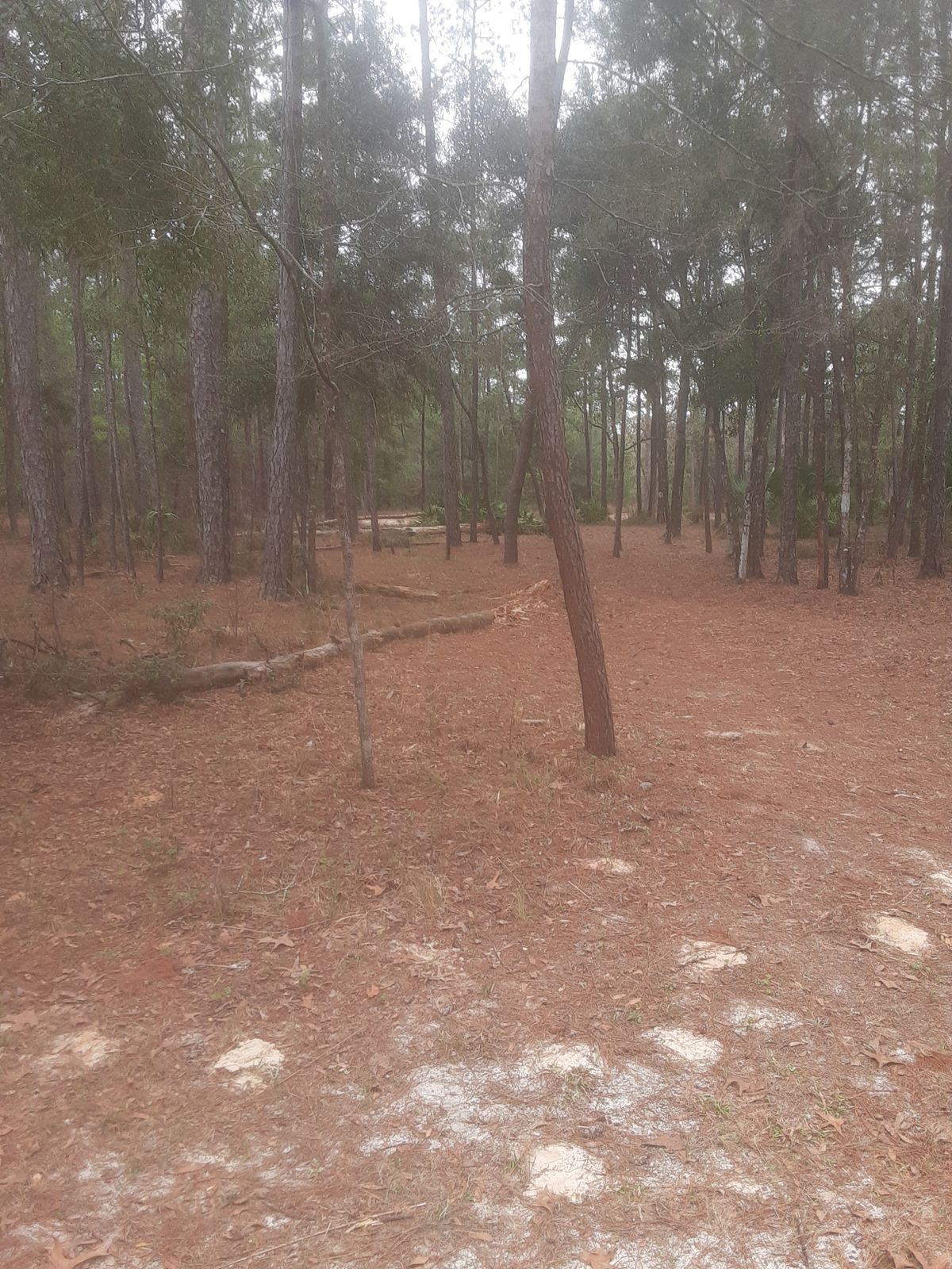 19 long fairway extension